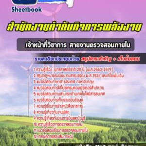 แนวข้อสอบเจ้าหน้าที่วิชาการ สายงานตรวจสอบภายใน สำนักงานกำกับกิจการพลังงาน